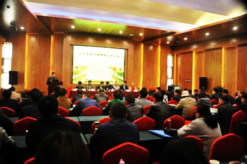 中国科学网 www.minimouse.com.cn