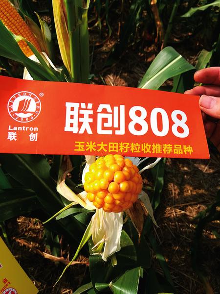 中国科学网 www.minimouse.com.cn