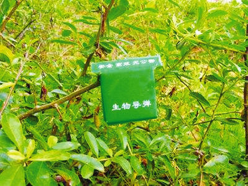中国科学网 www.minimouse.com.cn