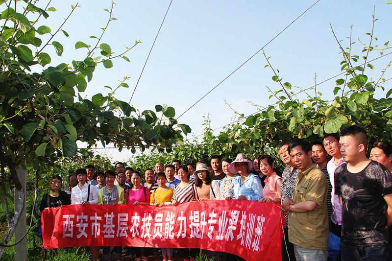 中国科学网 www.minimouse.com.cn
