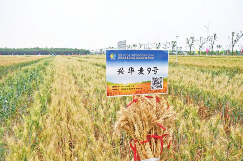 中国科学网 www.minimouse.com.cn