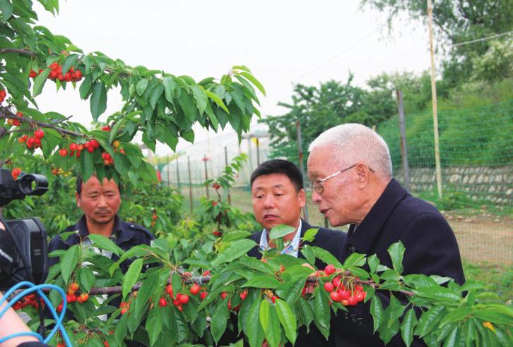 中国科学网 www.minimouse.com.cn