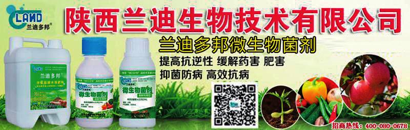 中国科学网 www.minimouse.com.cn