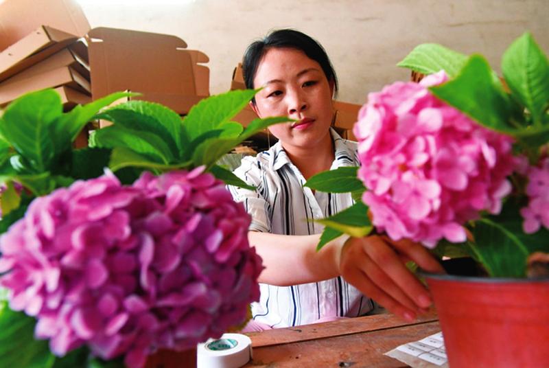 中国科学网 www.minimouse.com.cn