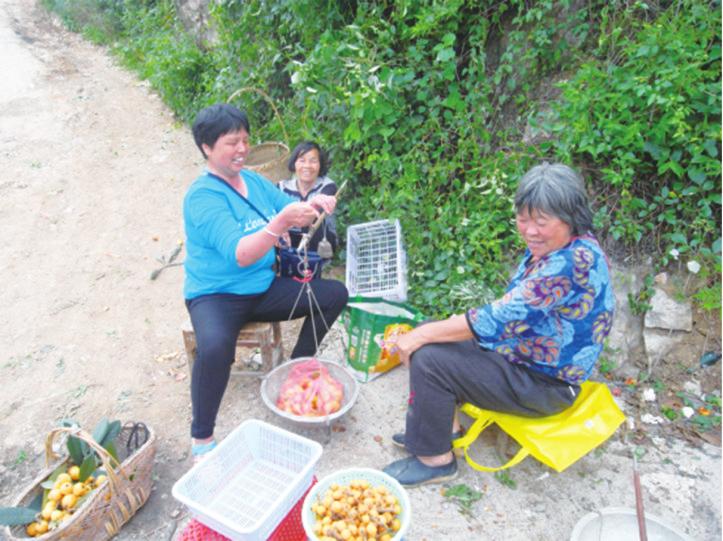 中国科学网 www.minimouse.com.cn