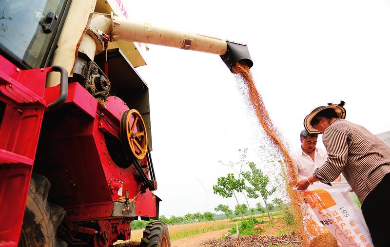 中国科学网 www.minimouse.com.cn