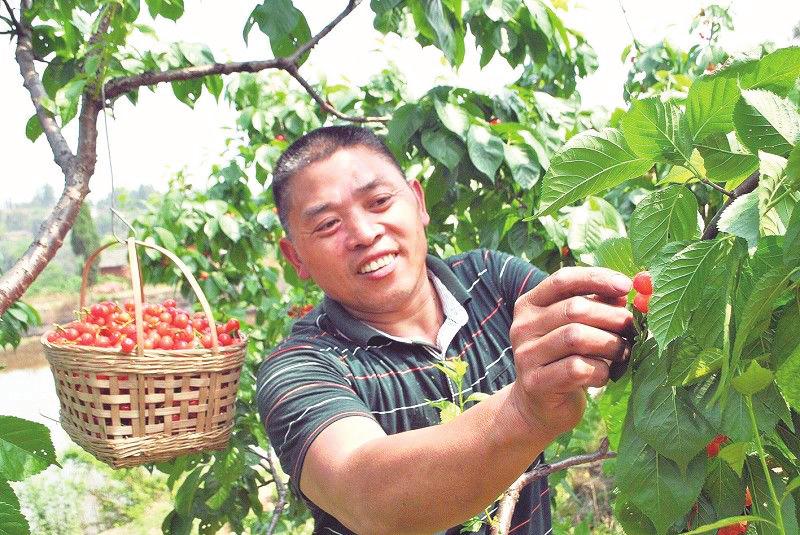 中国科学网 www.minimouse.com.cn