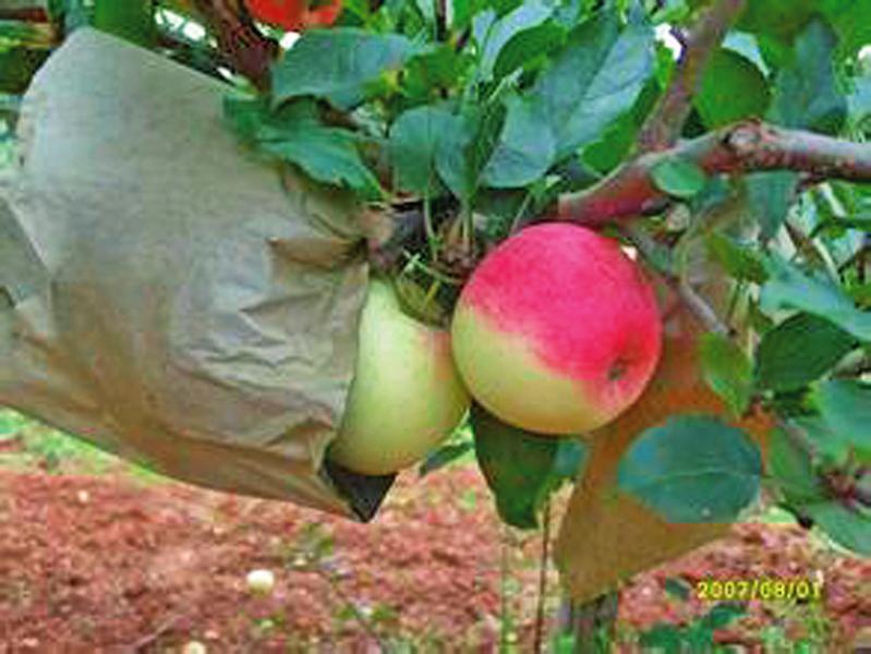 中国科学网 www.minimouse.com.cn