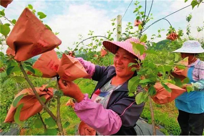 中国科学网 www.minimouse.com.cn