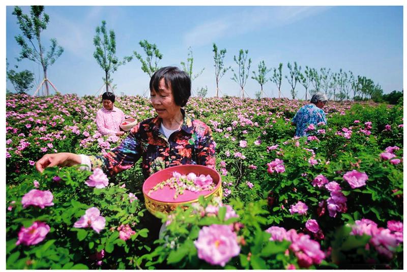 中国科学网 www.minimouse.com.cn