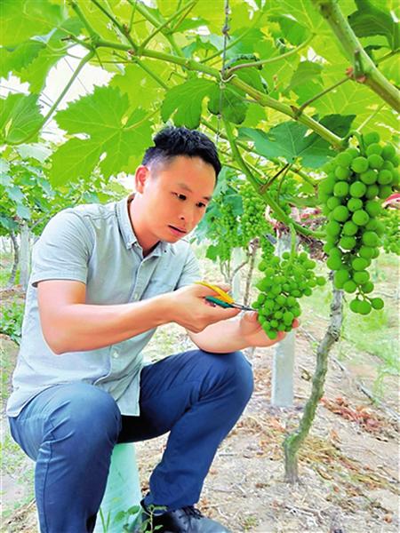 中国科学网 www.minimouse.com.cn