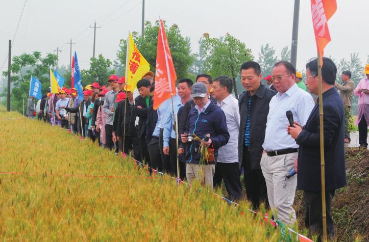 中国科学网 www.minimouse.com.cn