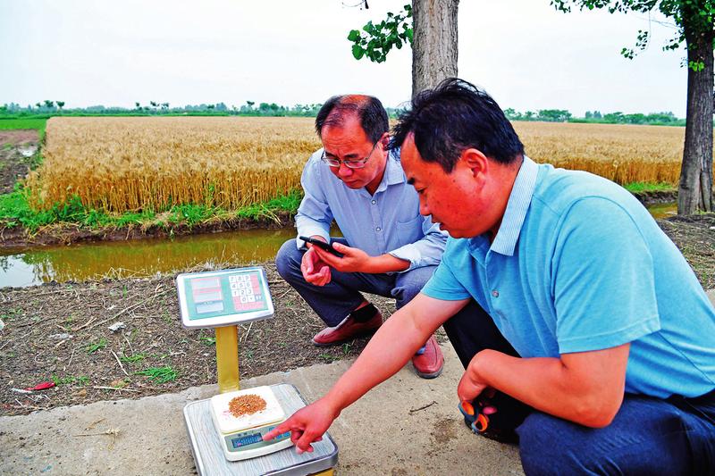 中国科学网 www.minimouse.com.cn