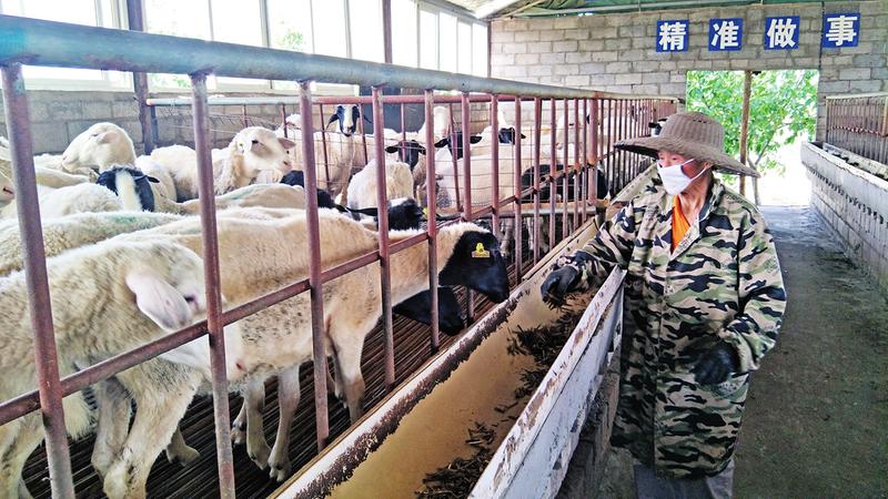 中国科学网 www.minimouse.com.cn