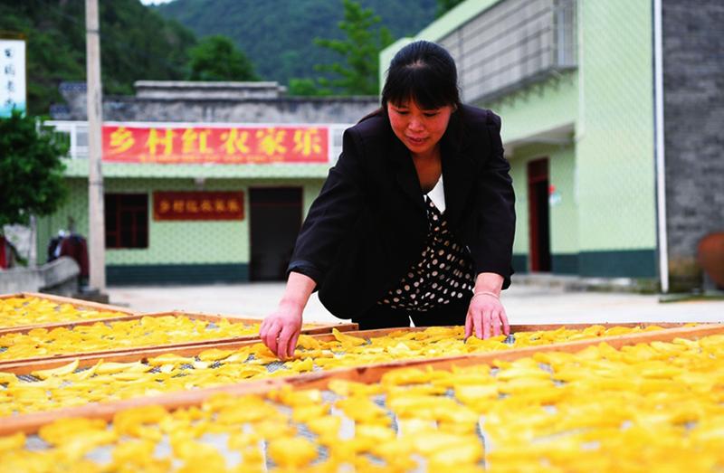 中国科学网 www.minimouse.com.cn