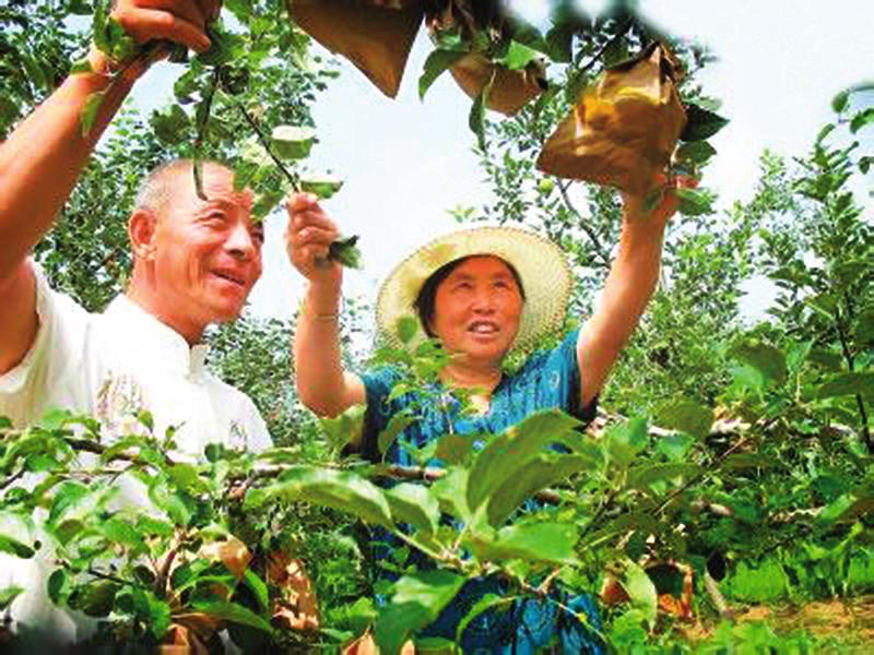 中国科学网 www.minimouse.com.cn