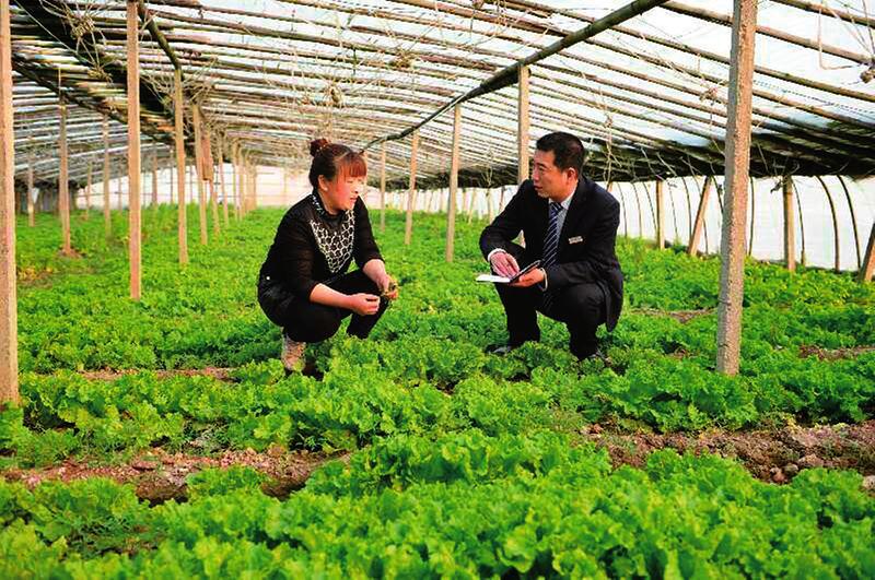 中国科学网 www.minimouse.com.cn