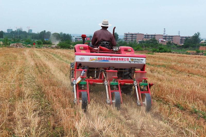 中国科学网 www.minimouse.com.cn