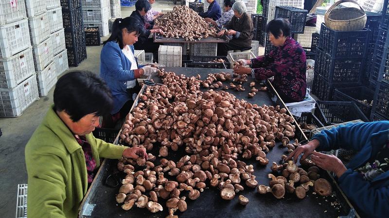 中国科学网 www.minimouse.com.cn