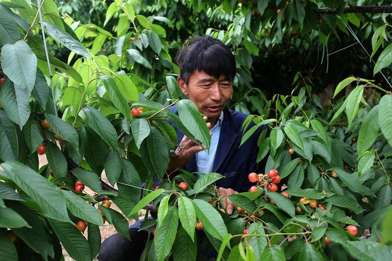 中国科学网 www.minimouse.com.cn