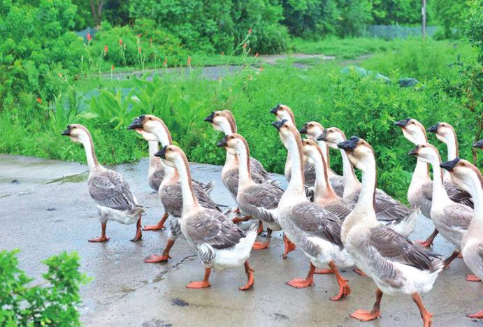 中国科学网 www.minimouse.com.cn