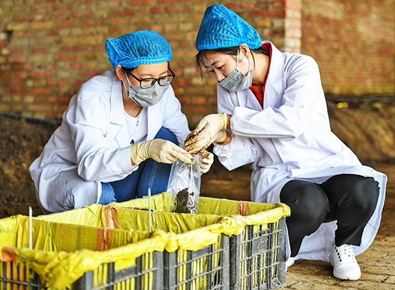 中国科学网 www.minimouse.com.cn