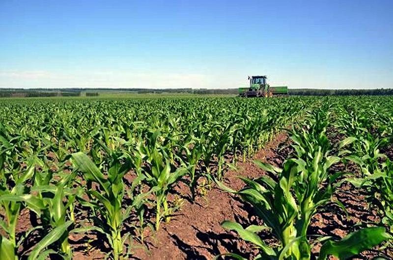 中国科学网 www.minimouse.com.cn