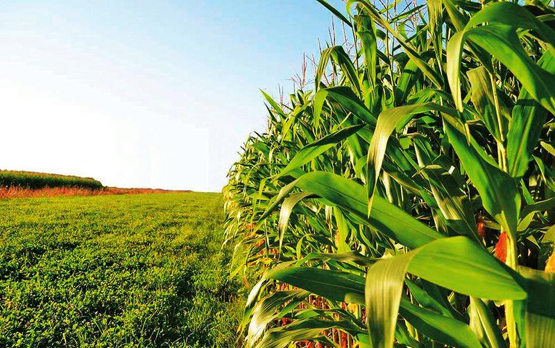 中国科学网 www.minimouse.com.cn