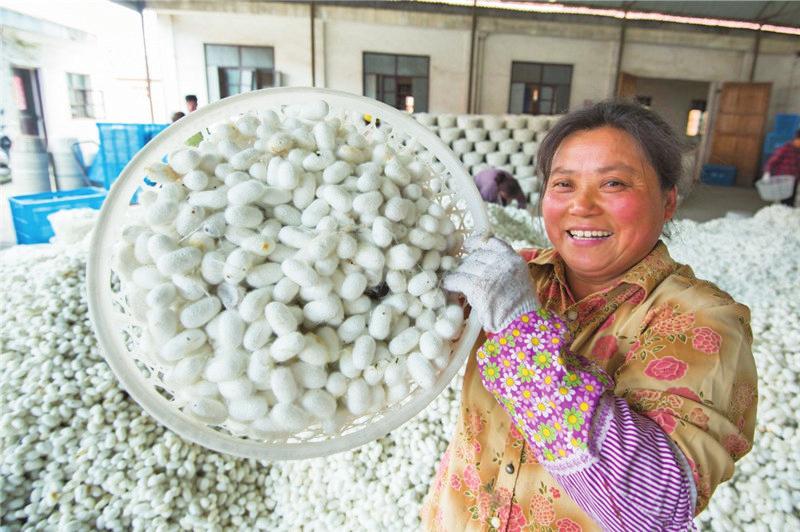 中国科学网 www.minimouse.com.cn