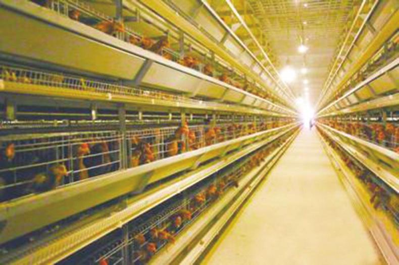 中国科学网 www.minimouse.com.cn