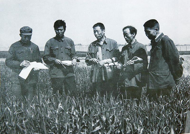 中国科学网 www.minimouse.com.cn