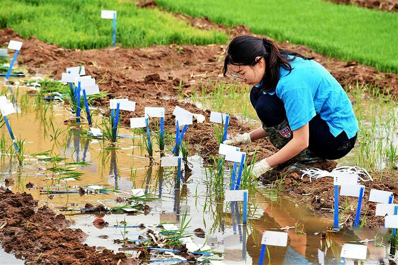 中国科学网 www.minimouse.com.cn