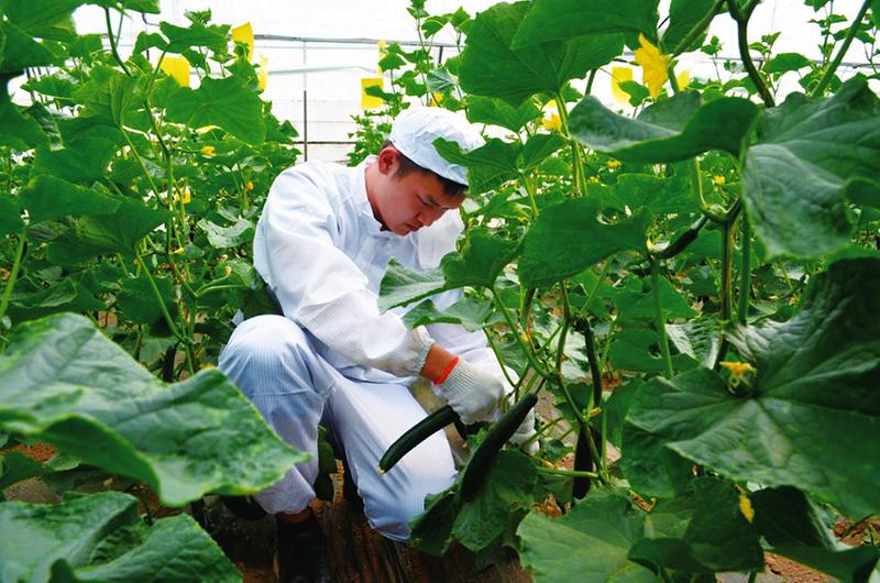 中国科学网 www.minimouse.com.cn