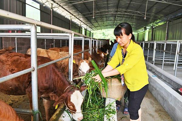 中国科学网 www.minimouse.com.cn