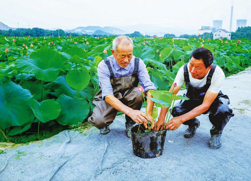 中国科学网 www.minimouse.com.cn