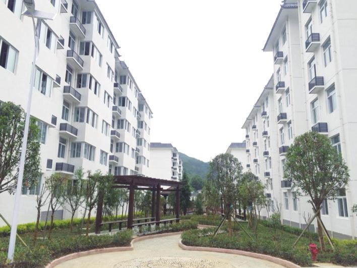 中国科学网 www.minimouse.com.cn