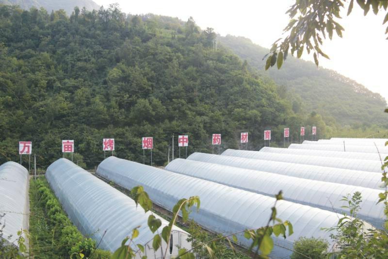 中国科学网 www.minimouse.com.cn