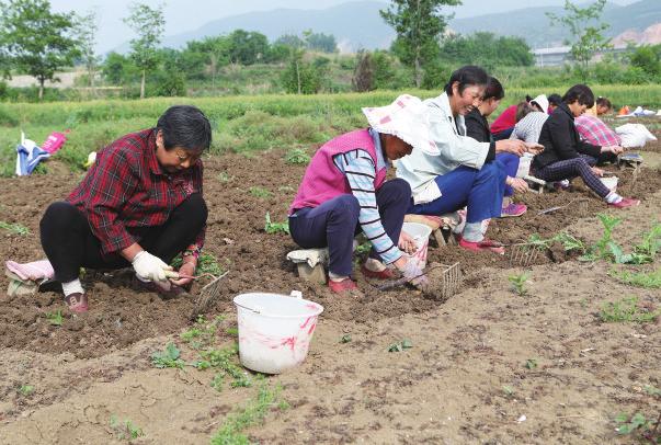 中国科学网 www.minimouse.com.cn