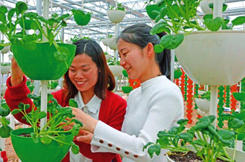 中国科学网 www.minimouse.com.cn