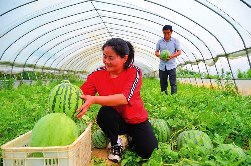 中国科学网 www.minimouse.com.cn