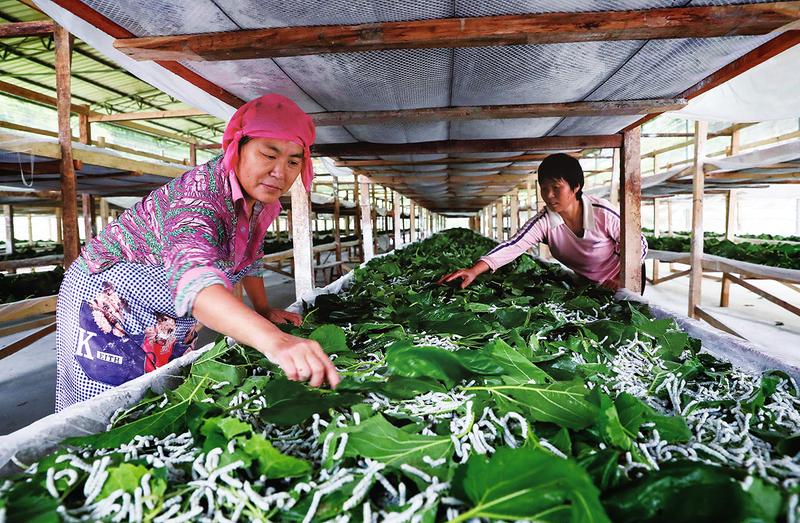 中国科学网 www.minimouse.com.cn