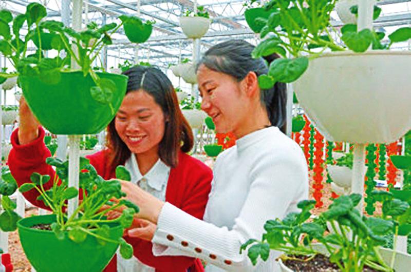 中国科学网 www.minimouse.com.cn