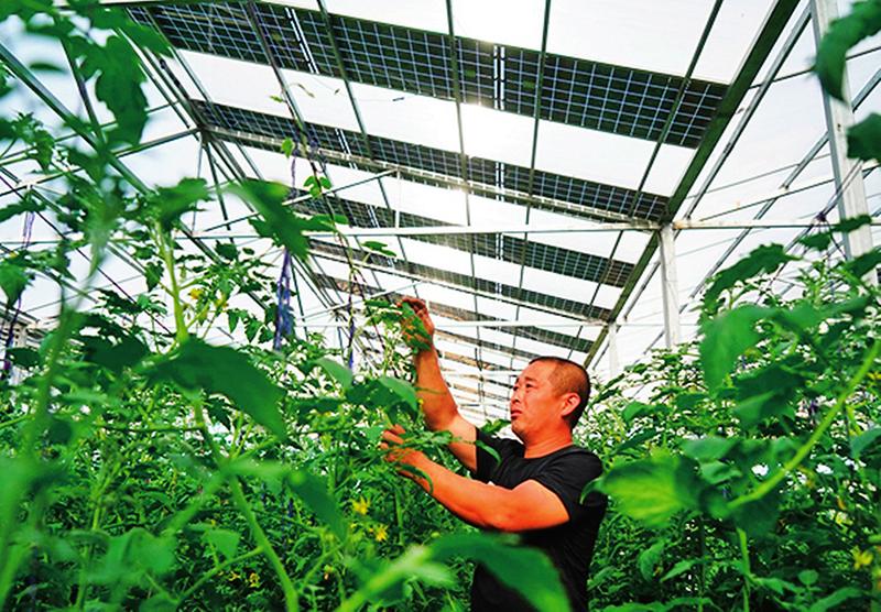 中国科学网 www.minimouse.com.cn