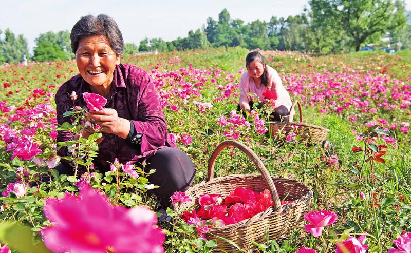 中国科学网 www.minimouse.com.cn