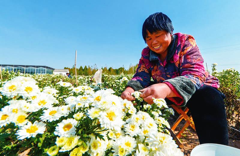 中国科学网 www.minimouse.com.cn