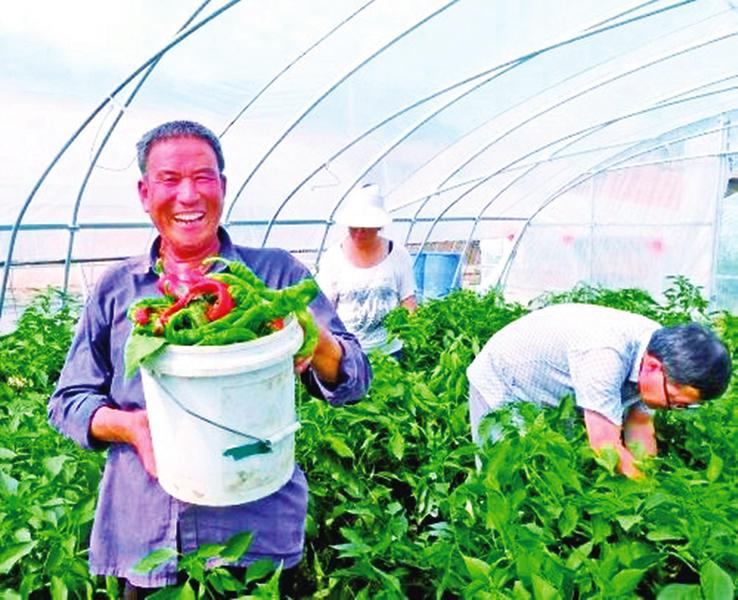 中国科学网 www.minimouse.com.cn