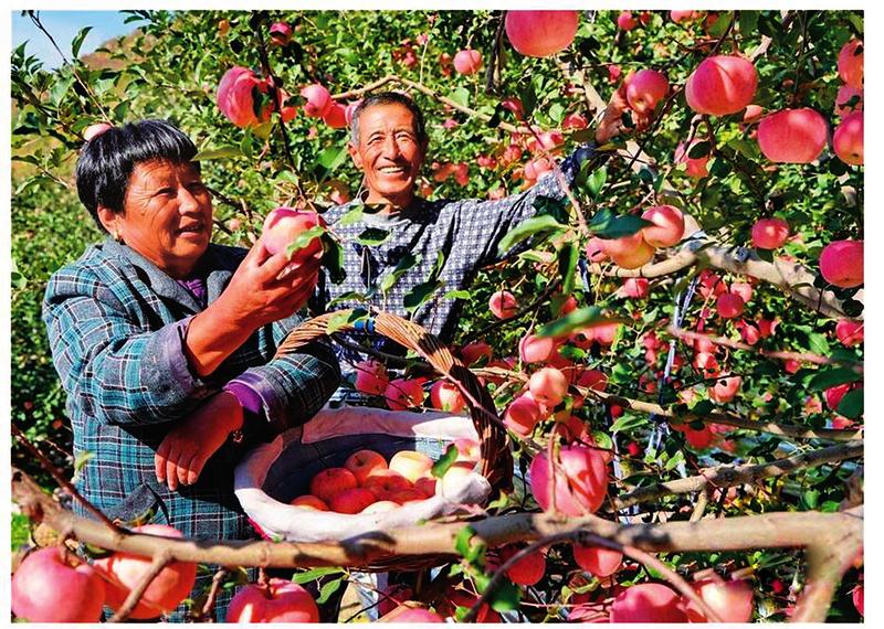 中国科学网 www.minimouse.com.cn