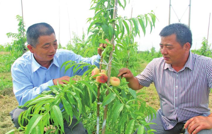 中国科学网 www.minimouse.com.cn