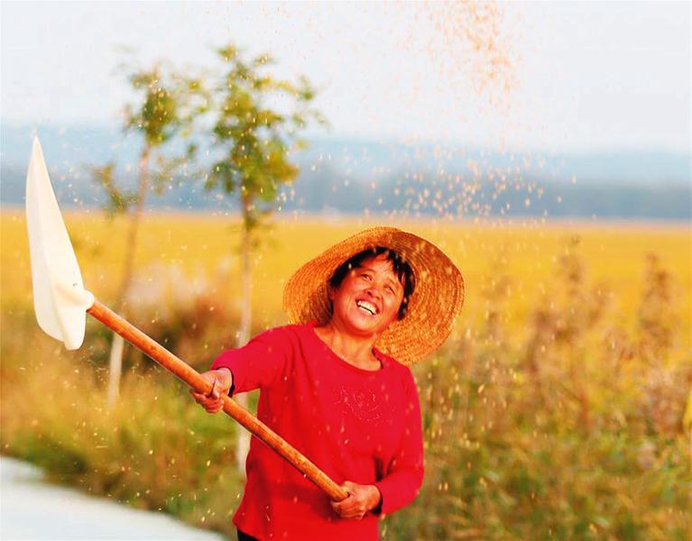 中国科学网 www.minimouse.com.cn