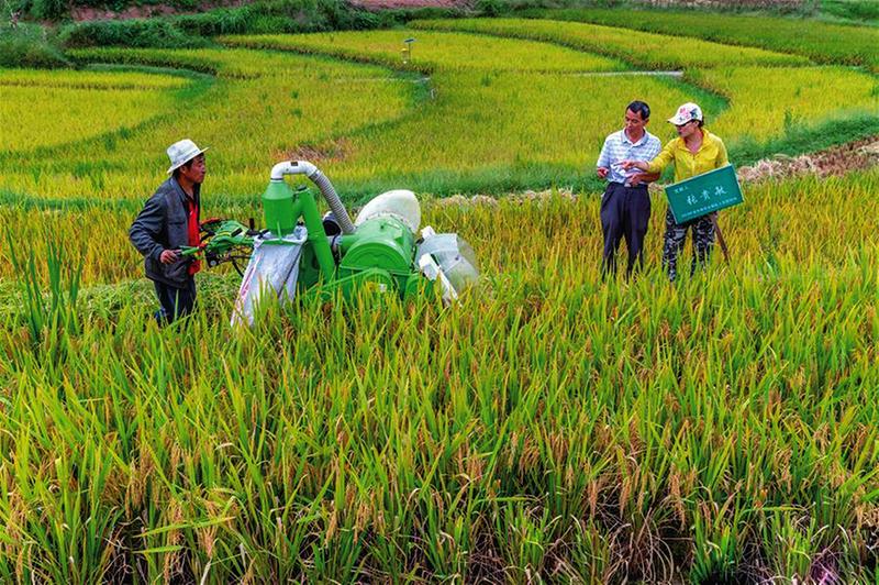 中国科学网 www.minimouse.com.cn